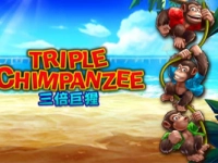 Triple Chimpanzee