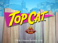 Top Cat