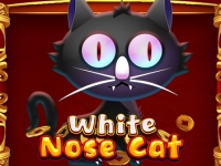 White Nose Cat