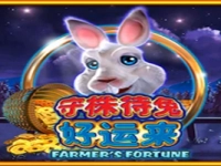 Farmer's Fortune