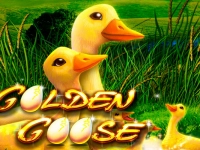 Golden Goose