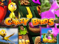 Crazy Birds