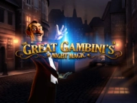 The Great Gambini's Night Magic