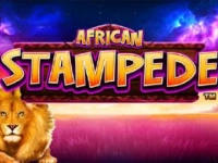 African Stampede