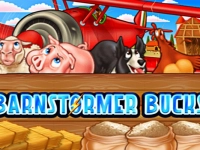 Barnstormer Bucks