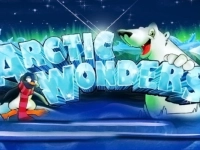 Arctic Wonders