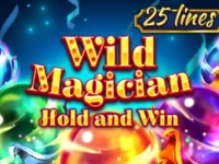 Wild Magician