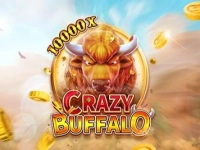 Crazy Buffalo