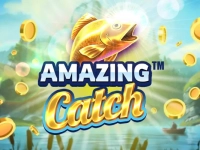 Amazing Catch