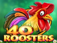 40 Roosters