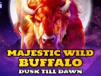 Majestic Wild Buffalo - Dusk Till Dawn