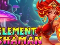 Element Shaman