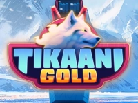 Tikaani Gold