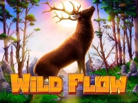 Wild Flow