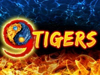 9 Tigers