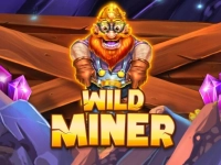 Wild Miner