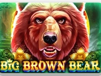 Big Brown Bear