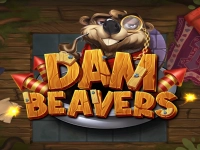 Dam Beavers