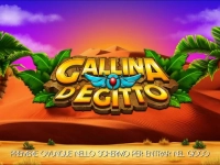 Gallina D'Egitto VLT