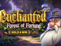 Enchanted: Forest of Fortune