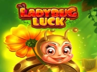 Ladybug Luck