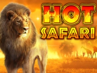 Hot Safari