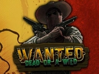 Wanted Dead or Wild