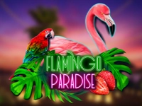 Flamingo Paradise