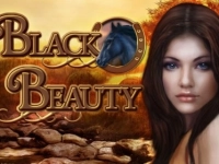 Black Beauty