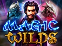 Magic Wilds