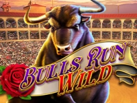 Bulls Run Wild