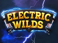 Electric Wilds