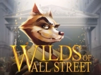 Wilds of Wall Street