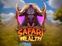 Safari of Wealth