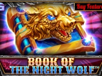 Book of the Night Wolf