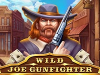 Wild Joe Gunfighter