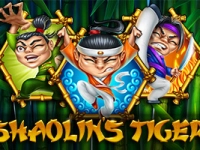 Shaolin's Tiger