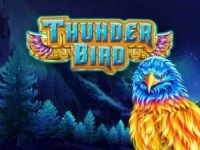 Thunder Bird