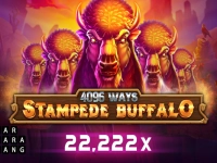 Stampede Buffalo