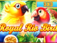 Royal Rio Birds 3x3