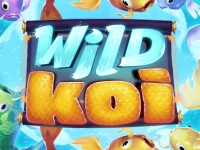 Wild Koi