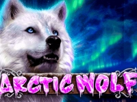 Arctic Wolf