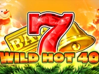 Wild Hot 40 Christmas