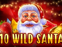 10 Wild Santa