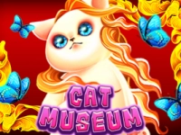 Cat Museum