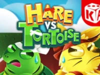 Hare vs Tortoise